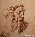 VBS_0061 - Mostra Nel segno di Raffaello